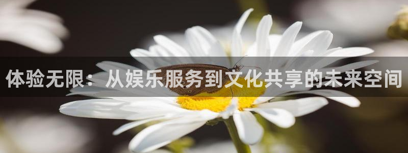upload/20250701114914.jpg
